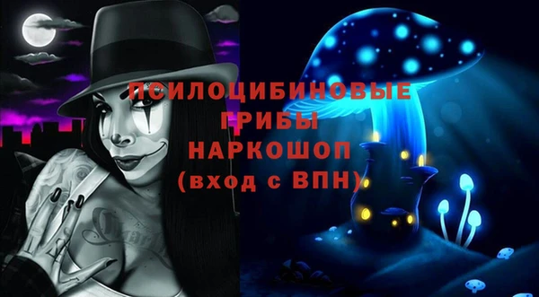 эйфоретик Магас