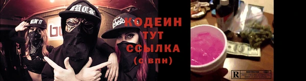 шишки Майский