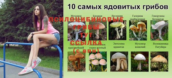 эйфоретик Магас