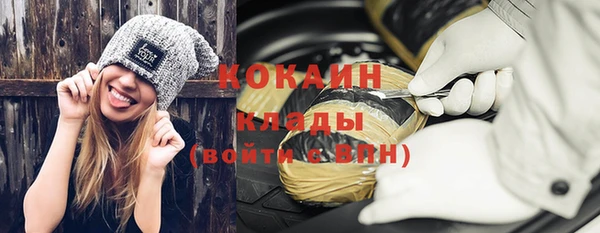 шишки Майский