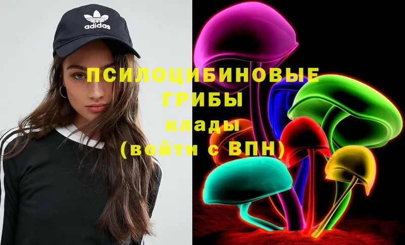 Галлюциногенные грибы Cubensis  сколько стоит  Карталы 