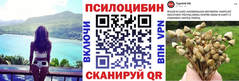 MEGA tor  сайты даркнета наркотические препараты  Псилоцибиновые грибы Magic Shrooms  Карталы 